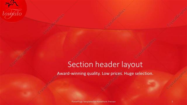 Section Header presentation slide layout
