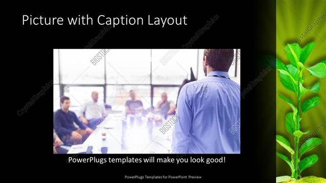 Picture with Caption presentation slide layout
