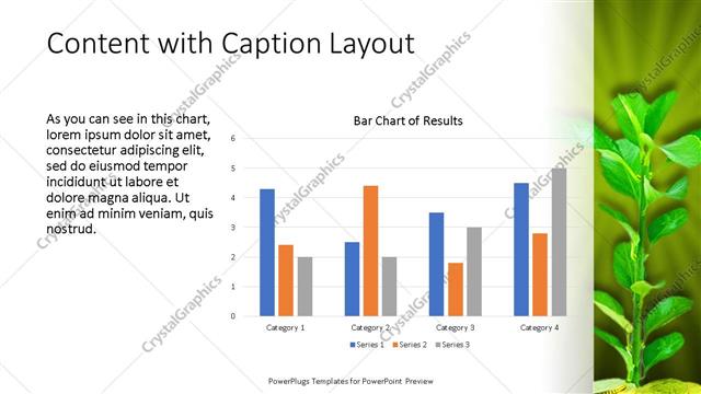 Content with Caption presentation slide layout