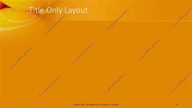 Title Only presentation slide layout