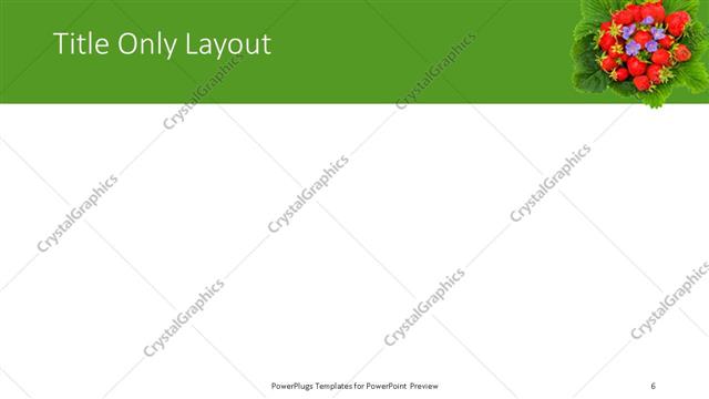 Title Only presentation slide layout