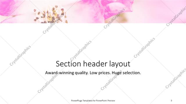 Section Header presentation slide layout