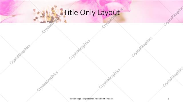 Title Only presentation slide layout