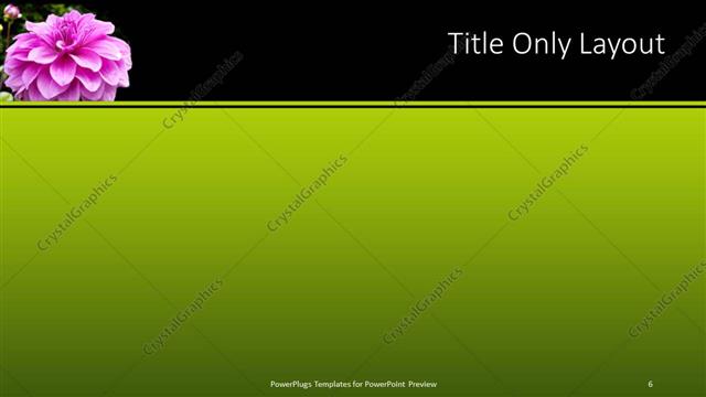 Title Only presentation slide layout