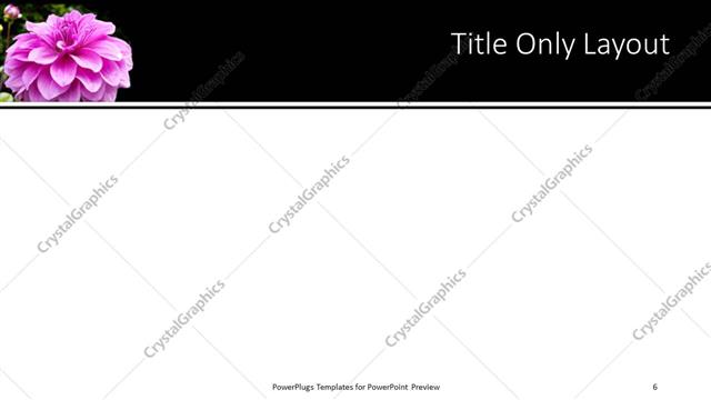 Title Only presentation slide layout