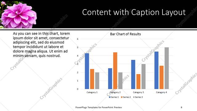 Content with Caption presentation slide layout