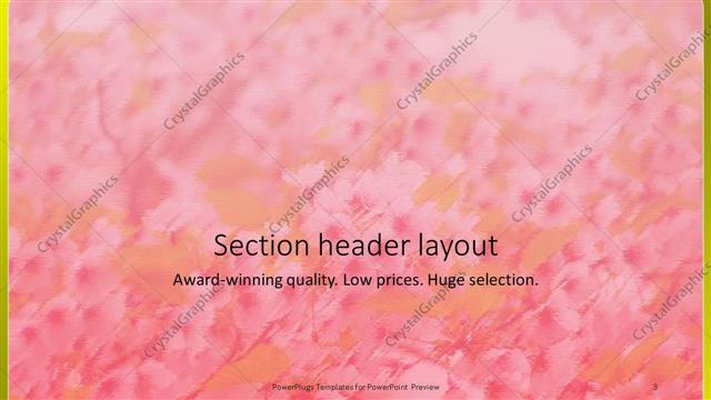 Section Header presentation slide layout