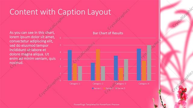 Content with Caption presentation slide layout
