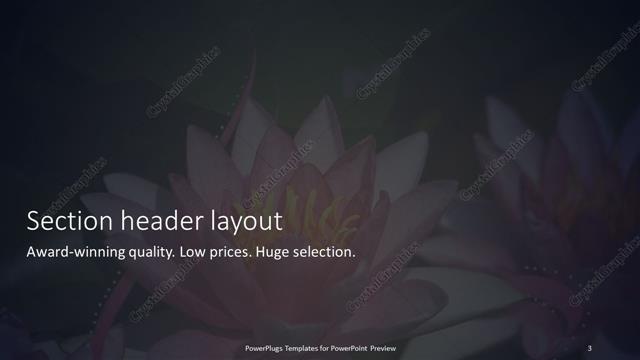 Section Header presentation slide layout