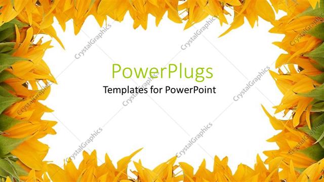  Presentation with sunflower - A place for text in the middle surrounded by flowers