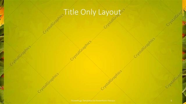 Title Only presentation slide layout