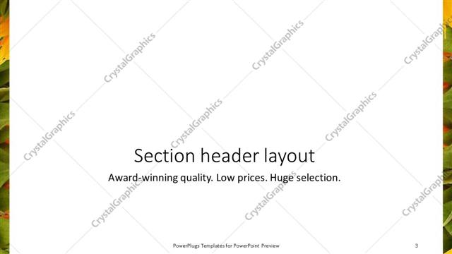 Section Header presentation slide layout