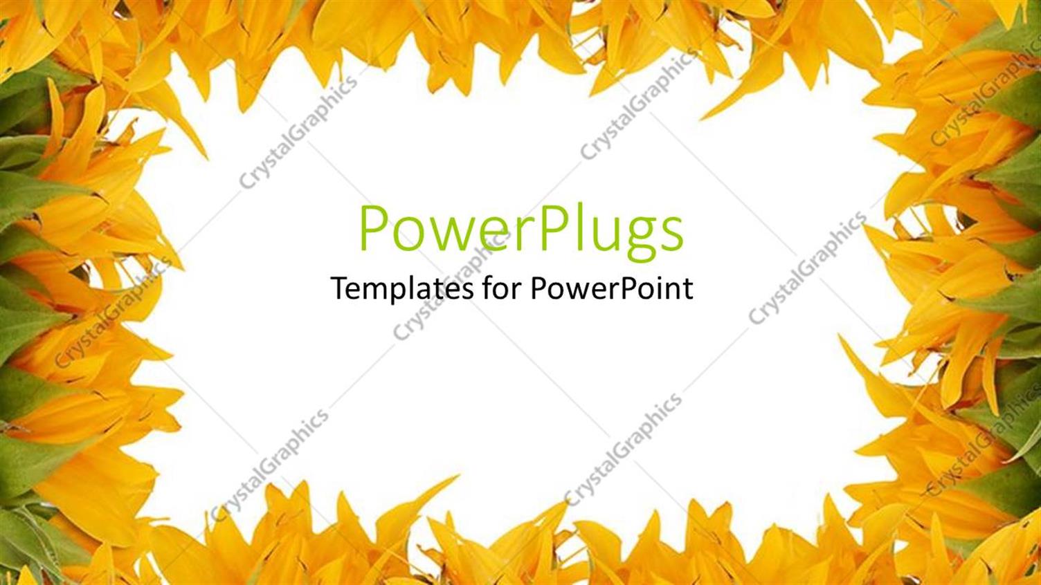 Premium Template for PowerPoint & Google Slides 