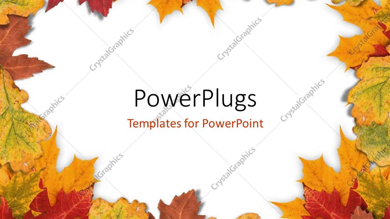 Premium Template for PowerPoint & Google Slides 
