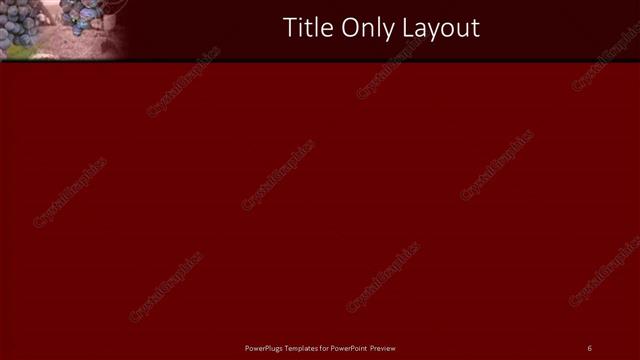 Title Only presentation slide layout