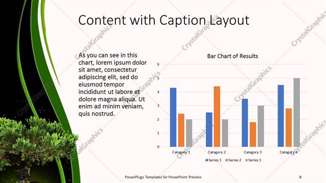 Content with Caption presentation slide layout
