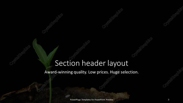 Section Header presentation slide layout
