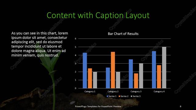 Content with Caption presentation slide layout
