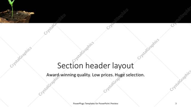 Section Header presentation slide layout