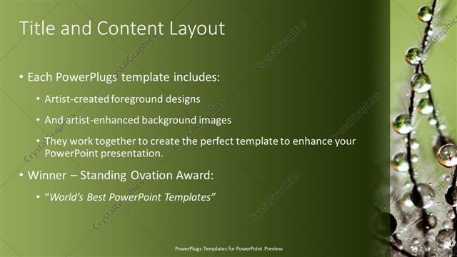 Title and Content presentation slide layout