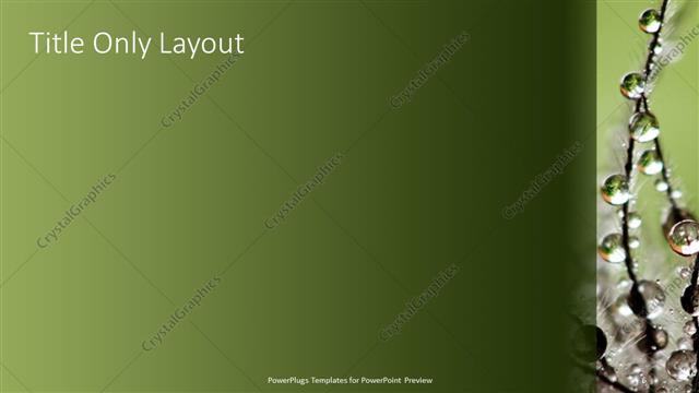 Title Only presentation slide layout