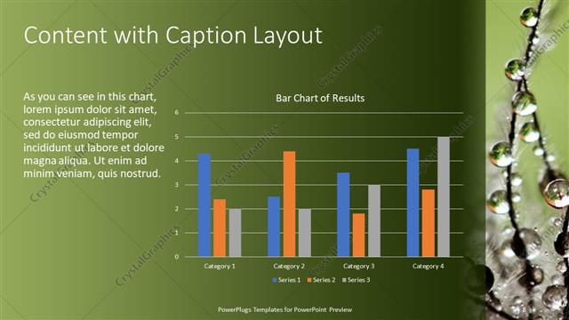 Content with Caption presentation slide layout