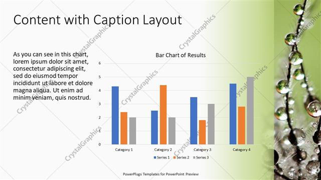 Content with Caption presentation slide layout