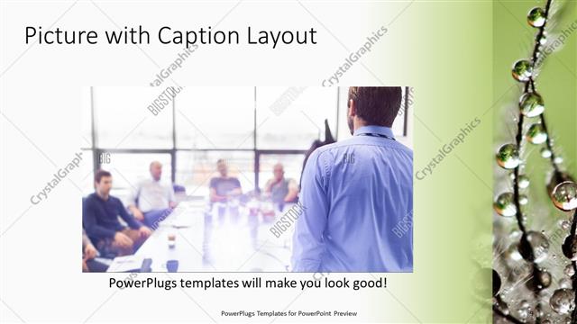 Picture with Caption presentation slide layout