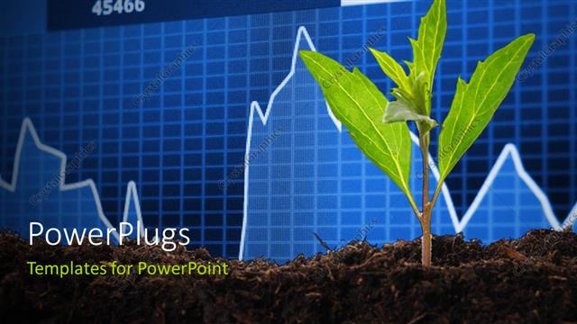  Presentation with financial report - A plant and a financial report in the background