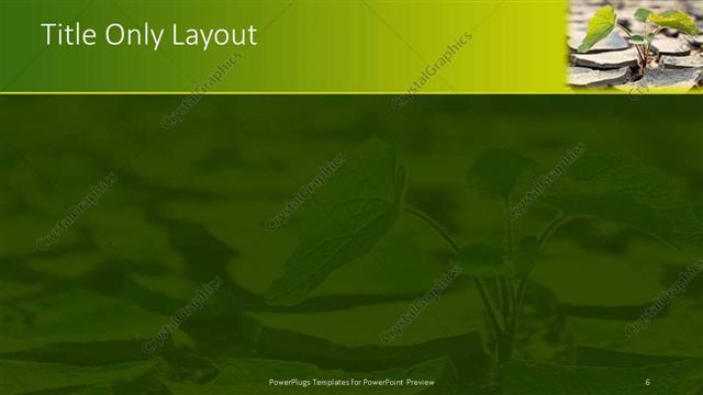 Title Only presentation slide layout