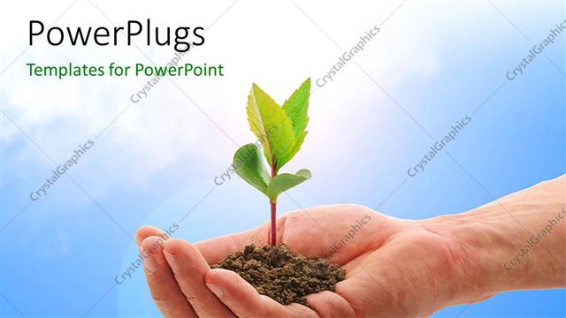  Presentation with plant - Plant in hand depicting care with sky