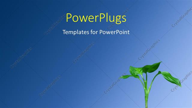  Presentation with money - A plant with a lot of gold ad bronze coins