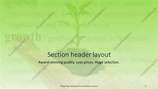 Section Header presentation slide layout