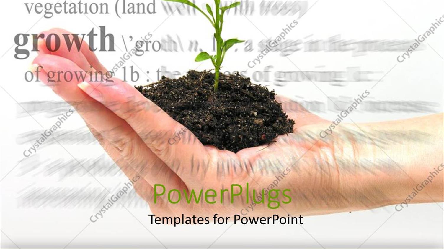 Premium Template for PowerPoint & Google Slides 