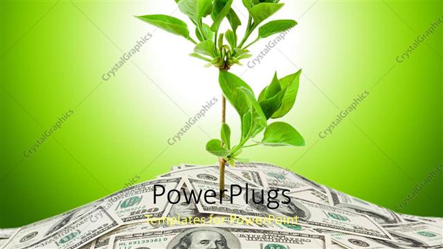  Presentation with money - A plant with its roots inside the currency notes