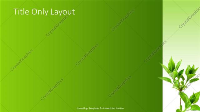 Title Only presentation slide layout