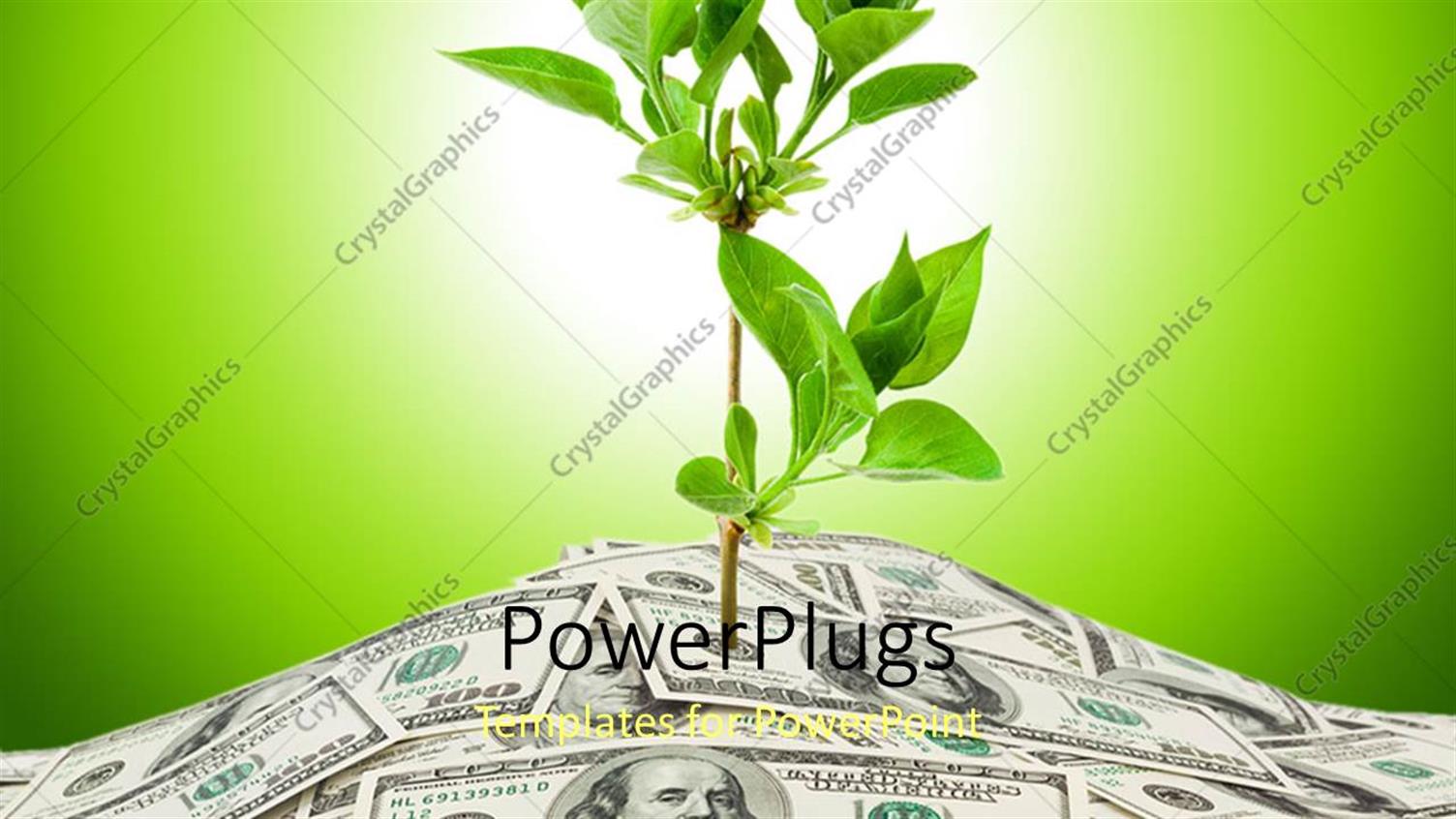 Premium Template for PowerPoint & Google Slides 