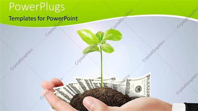  Presentation with sprouting plant - Plant sprouting from earth in human hand over grey background