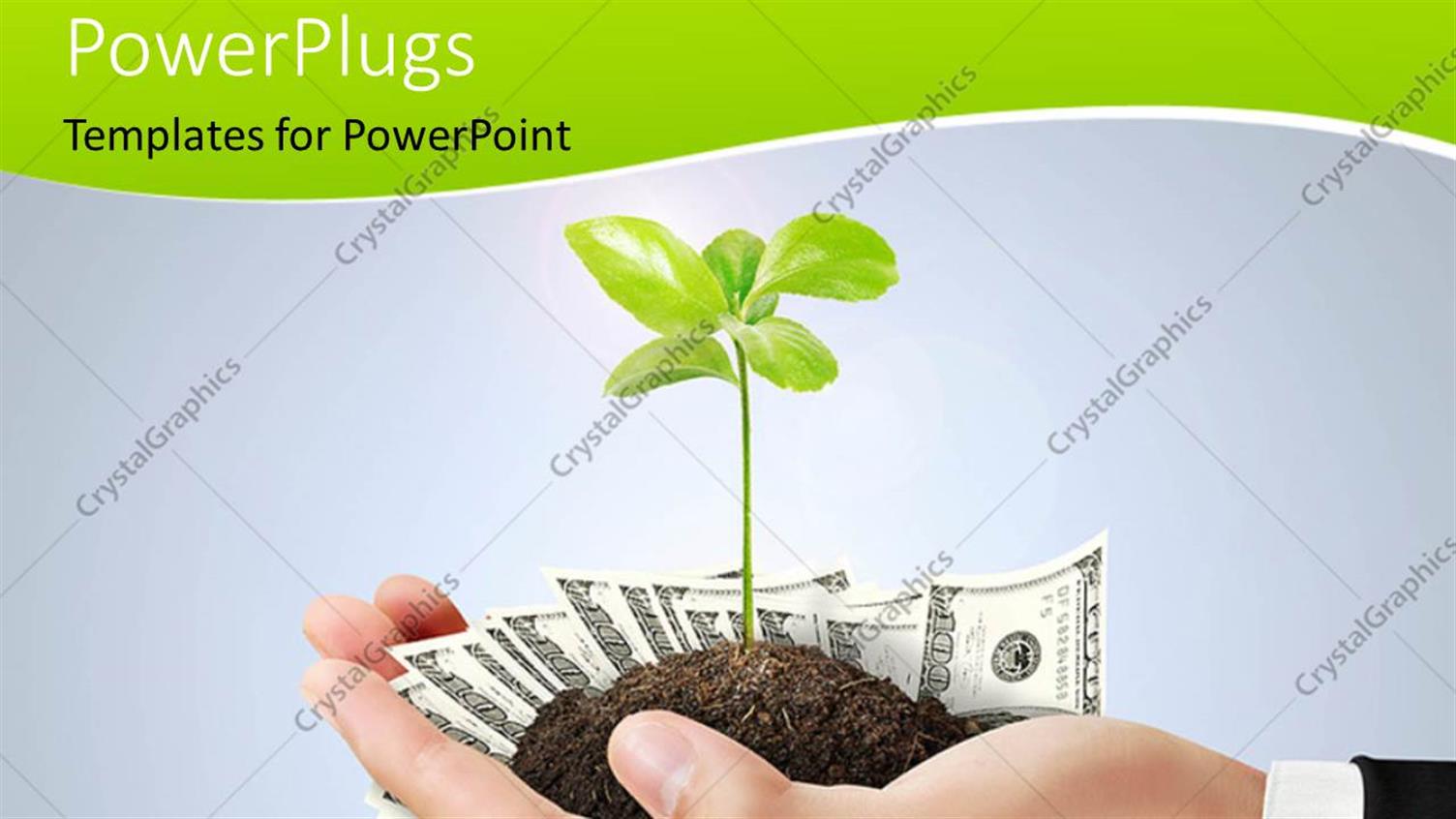 Premium Template for PowerPoint & Google Slides 