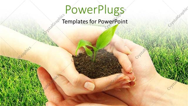  Presentation with sprouting plant - Plant sprouting from earth in human hands with green grassland