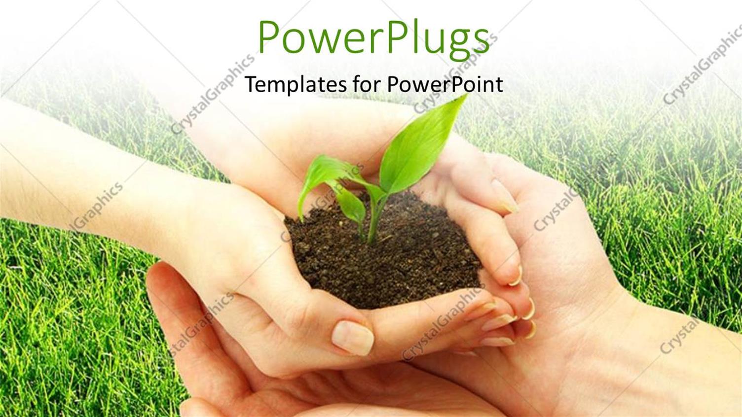 Premium Template for PowerPoint & Google Slides 