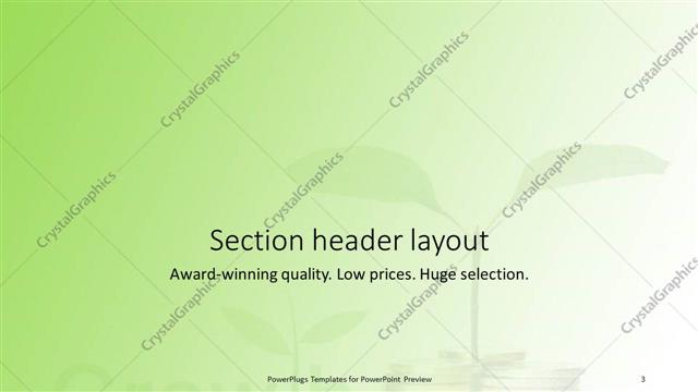 Section Header presentation slide layout