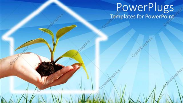  Presentation with sprouting plant - Plant sprouting from sand in woman's hand with green vegetation