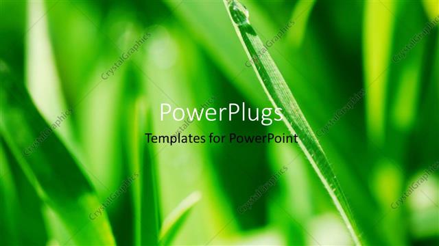  Presentation with water droplet - A plant with a water droplet and greenery in the background