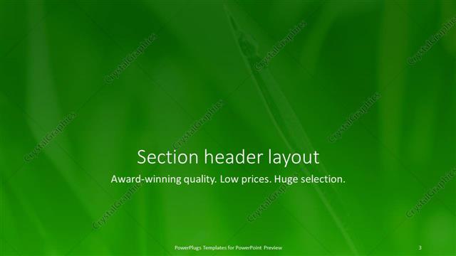 Section Header presentation slide layout