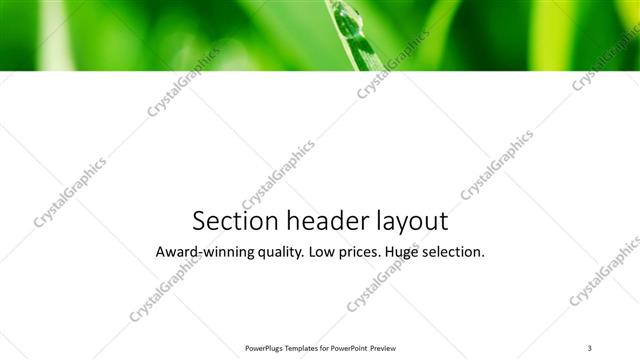 Section Header presentation slide layout