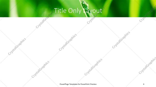 Title Only presentation slide layout