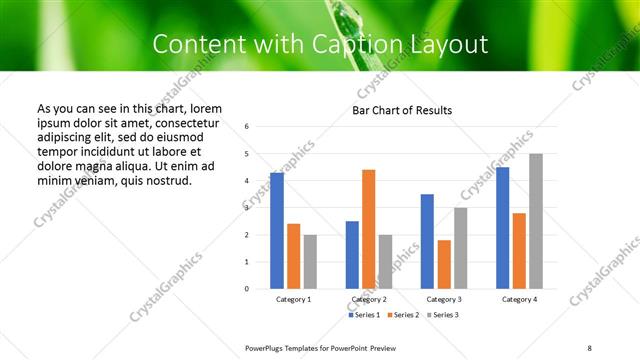 Content with Caption presentation slide layout