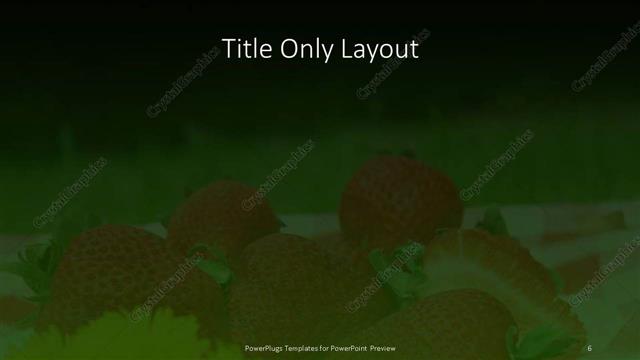 Title Only presentation slide layout