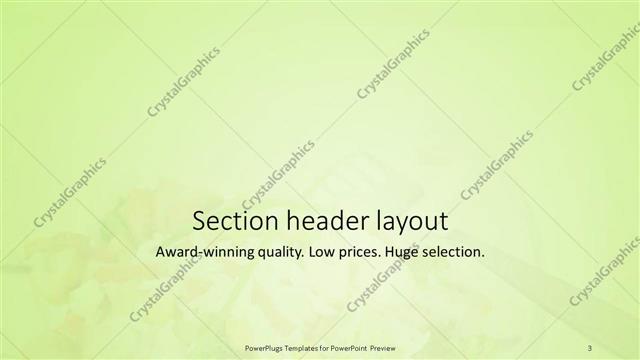 Section Header presentation slide layout